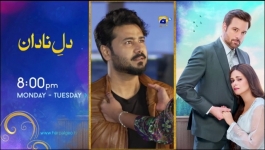 Tauba - Episode 12 - 29th October 2024